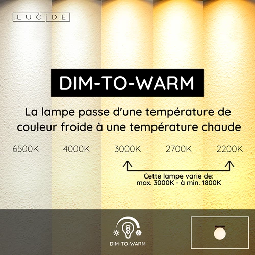 Lucide TASSA - Plafonnier Salle de bains - Ø 13,5 cm - LED Dim to warm - 1x12W 1800K/3000K - IP40 - Noir - USP